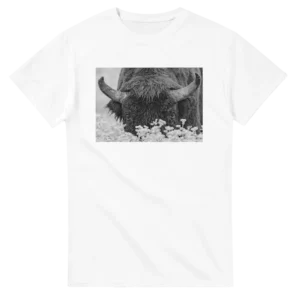 4b7b6e8b-c76c-4d7b-8d87-b14d19dafdae