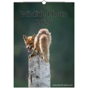 c1564314-6bec-4fe6-ac48-94a96f7aeb86